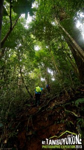 Mount Tambuyukon Expedition  